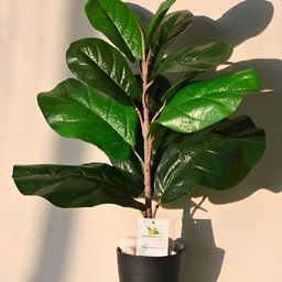 Blooming Floret Green & Brown Artificial Plant With Pot-53