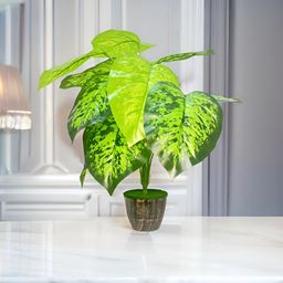 Akaar Green Money Artificial Plant With Pot-image-21