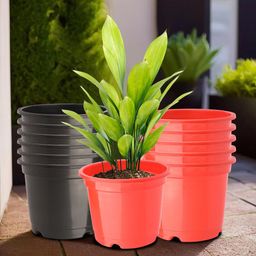 Kuber Industries 12-Pcs Red & Black Durable Planters-23