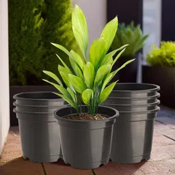 Kuber Industries Pack Of 8 Black Planters-57