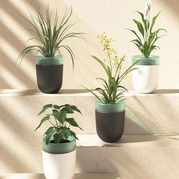 Kuber Industries Black & white 4 Pcs Self Watering Flower Pot Planters For Indoor-23