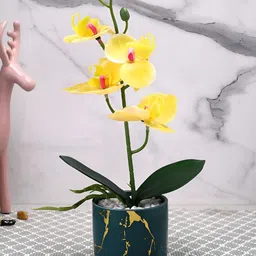 TAYHAA Yellow & Green Orchid Artificial Flower With Ceramic Pot-19