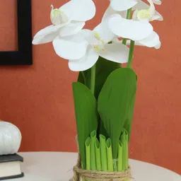 TIED RIBBONS White & Green Orchid Artificial Flowers And Plant-5