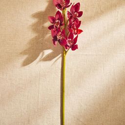 Pure Home and Living Red Orchid Faux Flower Stem-29