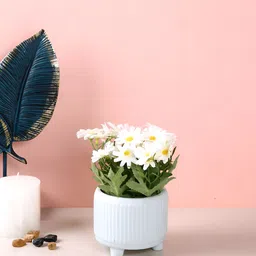 TAYHAA White & Green Daisy Artificial Plant With Ceramic Pot-5