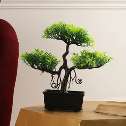 FOLIYAJ Green & Black Artificial Bonsai Tree With Heart Shaped Leaves With Pot-5