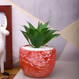 TAYHAA Green & Red Aloe Vera Artificial Plant With Pot-12