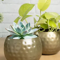 Homesake Set Of 2 Hammered Metal Planters-32