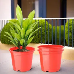 Kuber Industries Set Of 3 Red Planter With Pot-22