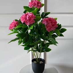 Blooming Floret Green & Pink Artificial Plant With Pot-15