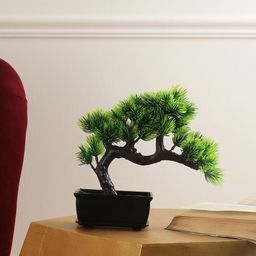 FOLIYAJ Green & Black Bonsai Tree Artificial Plant With Bushy Leaves & Pot-4