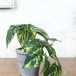 FOLIYAJ Green & Grey Artificial Money Plant With Pot-6