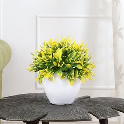 FOLIYAJ Yellow & Green Oar Shaped Leaves With Pot-24