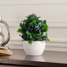 FOLIYAJ Green & White Long Lasting Artificial Plant With Pot-20