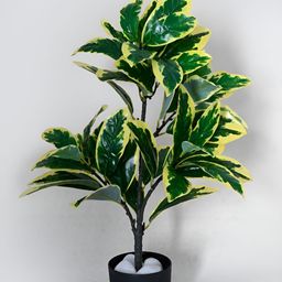 Blooming Floret Green Pisonia Alba Artificial Plant With Pot-15