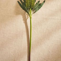 Pure Home and Living Green Protea Faux Flower Stem-image-78