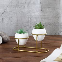 FOLIYAJ Set Of 2 Green & White Artificial Cactus Plants With Metal Holder-23