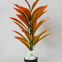Blooming Floret Green & Orange Artificial Plant With Pot-55