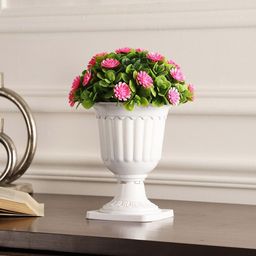 FOLIYAJ White & Green Gerba Flowers Plant With Pedestal Pot-image-66