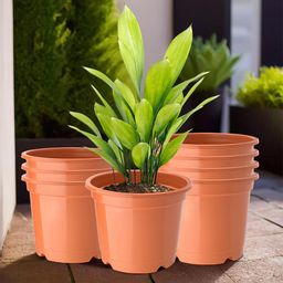 Kuber Industries Set Of 8 Orange-Coloured Planter With Pot-4