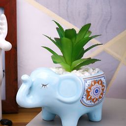 TAYHAA Blue & Green Aloe Vera Artificial Plant With Pot-54