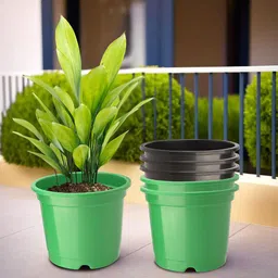 Kuber Industries 6Pc Green & Black Lightweight Planters-58