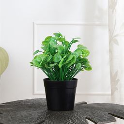 FOLIYAJ Green & Black Artificial Water Cress Plant With Pot-7