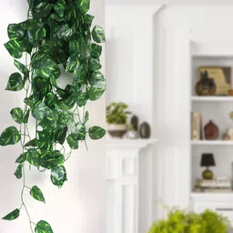 BS AMOR Green Artificial Money Plant Creeper-21