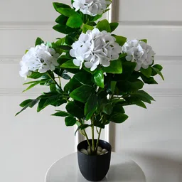 Blooming Floret Green & White Hoya Artificial Plant With Pot-12