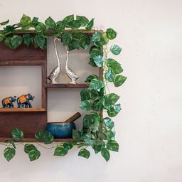 BS AMOR Green  Artificial Money Plant-50