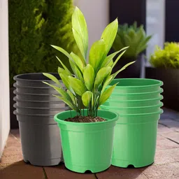 Kuber Industries 12-Pcs Green & Black Durable Planters-12