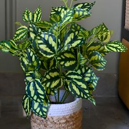Blooming Floret Green Artificial Plant With Pot-26