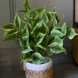 Blooming Floret Green Dragon Tree Artificial Plant With Pot-image-80