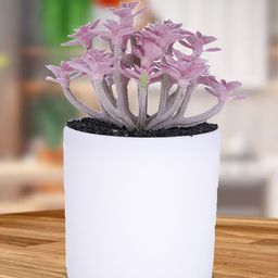 Kuber Industries Lavender & White Artificial Succulent Plant With Pot-37