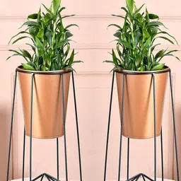 Kuber Industries 2 Pcs Planter Stand With Bucket Planter-0
