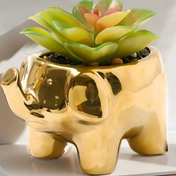 UMAI Green & Gold toned Succulent Artificial Plant With Pot-49