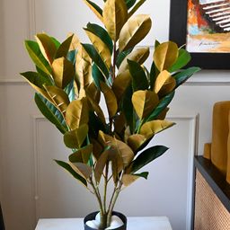 Blooming Floret Green & Brown Asparagus Artificial Plant With Pot-34