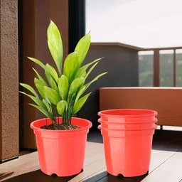 Kuber Industries Pack Of 4 Red Planters-57