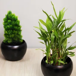 Homesake Black Set Of 2 Metal Planters-56