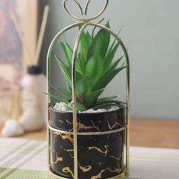 House Of Accessories Green & Black Patterned Artificial Potted Plant With Pot-12