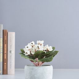 Pure Home and Living Unisex White  & Green Viola Potted Artificial Flower Plant-15