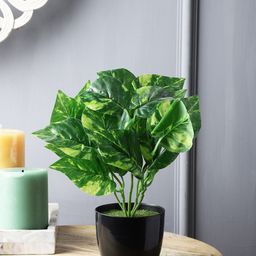 FOLIYAJ Green & Black Artificial Money Plant with Pot-10