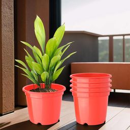 Kuber Industries Set Of 5 Red Planter With Pot-1