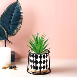 TAYHAA Green & White Fig Artificial Plant With Pot-image-18