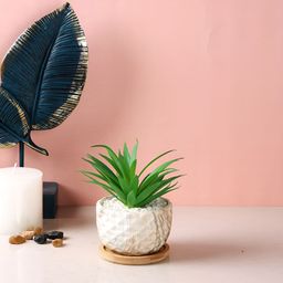 TAYHAA Green & White Artificial Plant With Pot-45