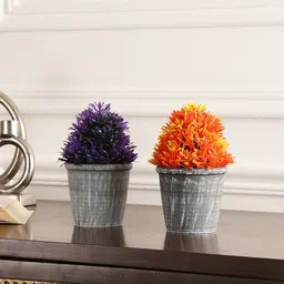 FOLIYAJ Purple & Orange Coloured 2 Pieces Gerba Real Looking Artificial Plant With Pot-image-23