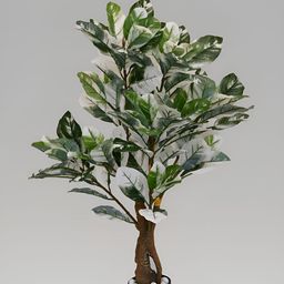 Blooming Floret Green & White Artificial Plant With Pot-14