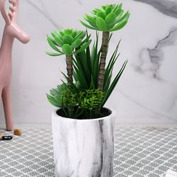 TAYHAA Green & White Succulent Artificial Plant With Pot-7