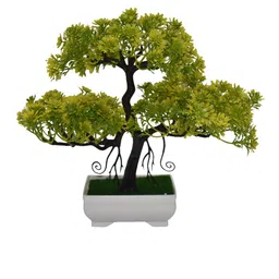 AMFLIX Green Artificial Bonsai Plant With Pot-image-64