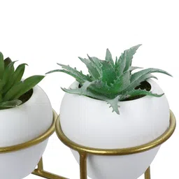 FOLIYAJ Set Of 2 Green & White Artificial Cactus Plants With Metal Holder image 3